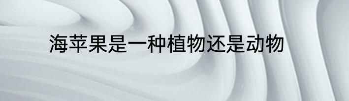 海苹果是一种植物还是动物