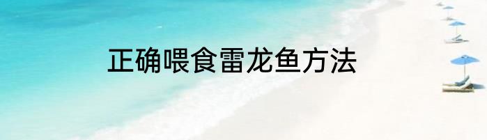 正确喂食雷龙鱼方法