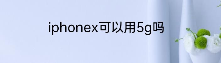 iphonex可以用5g吗