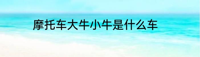 摩托车大牛小牛是什么车