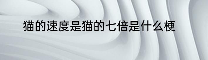 猫的速度是猫的七倍是什么梗