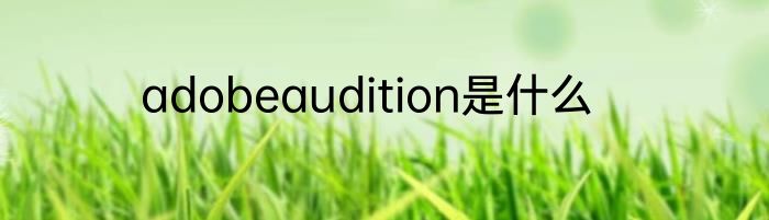 adobeaudition是什么
