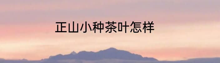 正山小种茶叶怎样
