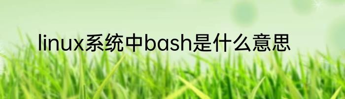 linux系统中bash是什么意思
