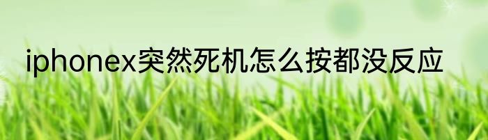 iphonex突然死机怎么按都没反应