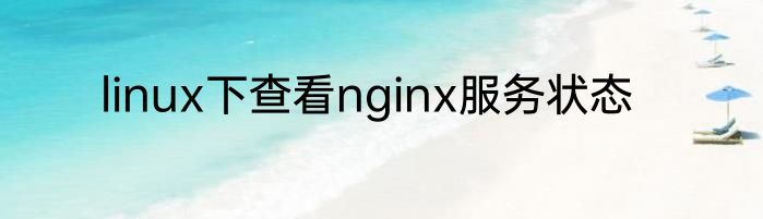 linux下查看nginx服务状态