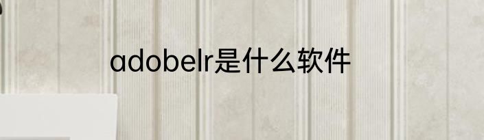 adobelr是什么软件