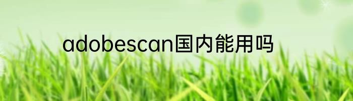 adobescan国内能用吗
