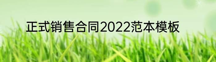 正式销售合同2022范本模板