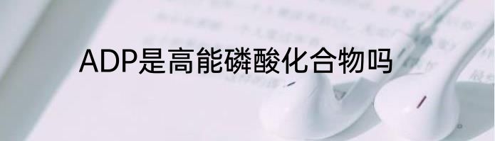 ADP是高能磷酸化合物吗