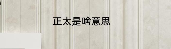 正太是啥意思