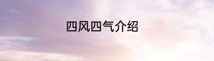四风四气介绍