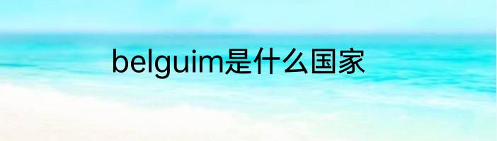belguim是什么国家