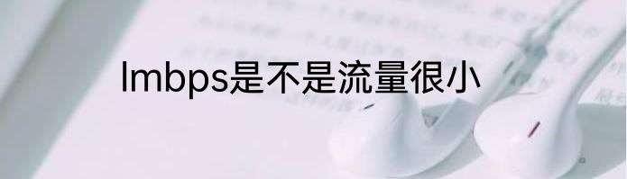 lmbps是不是流量很小