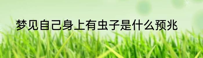 梦见自己身上有虫子是什么预兆