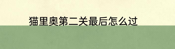 猫里奥第二关最后怎么过