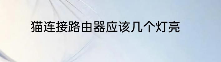 猫连接路由器应该几个灯亮