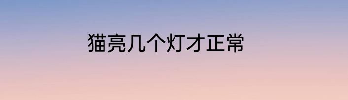 猫亮几个灯才正常