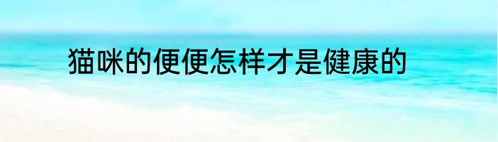 猫咪的便便怎样才是健康的