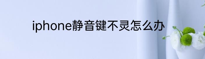 iphone静音键不灵怎么办