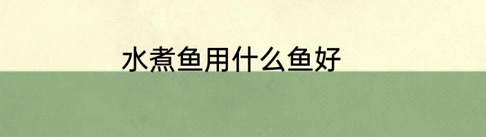 水煮鱼用什么鱼好