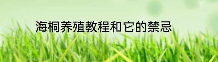 海桐养殖教程和它的禁忌