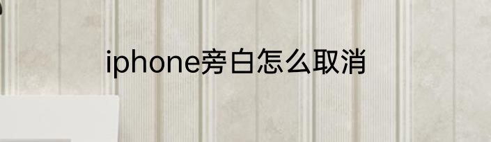 iphone旁白怎么取消