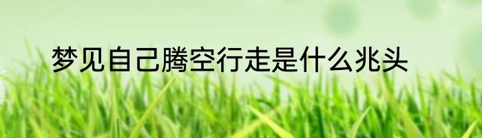 梦见自己腾空行走是什么兆头
