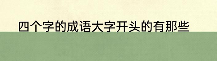 四个字的成语大字开头的有那些