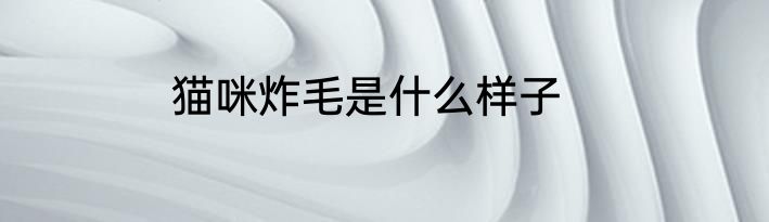 猫咪炸毛是什么样子