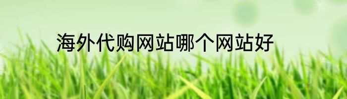 海外代购网站哪个网站好