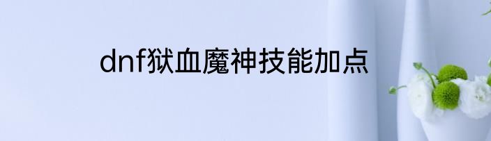 dnf狱血魔神技能加点