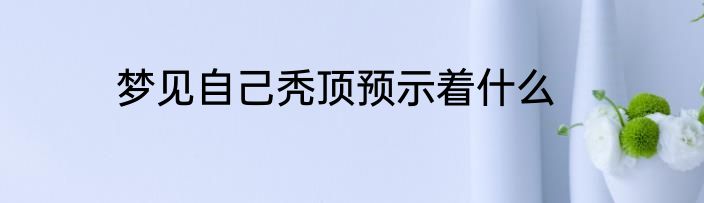 梦见自己秃顶预示着什么