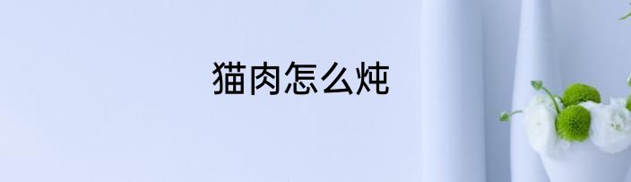 猫肉怎么炖