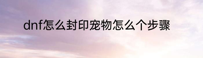 dnf怎么封印宠物怎么个步骤