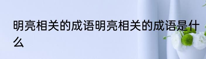明亮相关的成语明亮相关的成语是什么