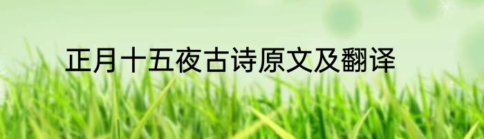 正月十五夜古诗原文及翻译