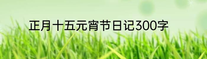 正月十五元宵节日记300字