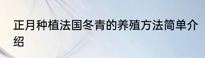 正月种植法国冬青的养殖方法简单介绍
