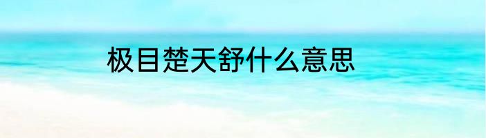 极目楚天舒什么意思