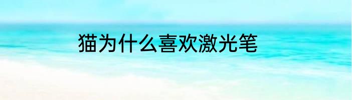 猫为什么喜欢激光笔