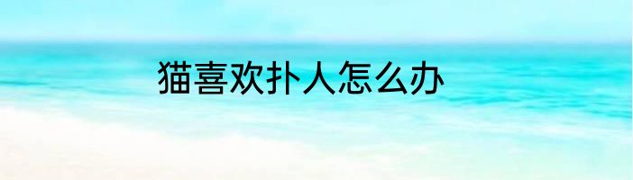 猫喜欢扑人怎么办