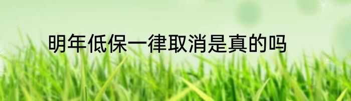 明年低保一律取消是真的吗