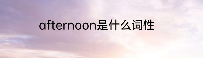 afternoon是什么词性
