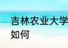 吉林农业大学的宿舍环境和生活设施如何