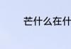 芒什么在什么的词语有哪些