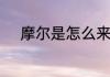 摩尔是怎么来的一摩尔表示什么