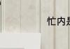 忙内是什么意思