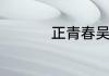 正青春吴谨言角色简介