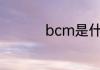 bcm是什么意思车上的